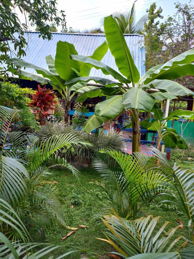 Eco-Cafe El Mirador Apartment Guachaca Exterior photo